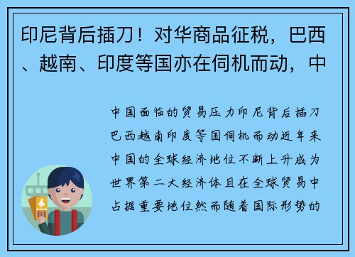 印尼背后插刀！对华商品征税，巴西、越南、印度等国亦在伺机而动，中国面临何种贸易压力？