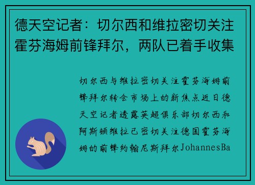 德天空记者：切尔西和维拉密切关注霍芬海姆前锋拜尔，两队已着手收集转会信息