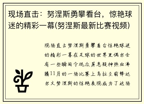 现场直击：努涅斯勇攀看台，惊艳球迷的精彩一幕(努涅斯最新比赛视频)